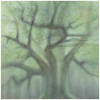 Paavolan tammi / Oak of Paavola, 2017, akvarelli / watercolour, 110 x 110 cm